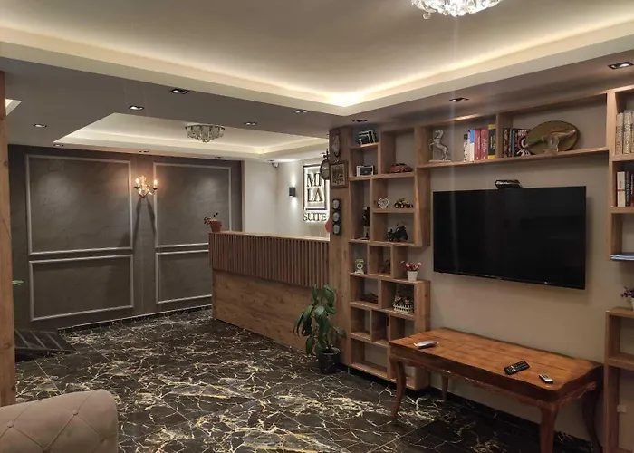 Apart Otel Mıla Suıte